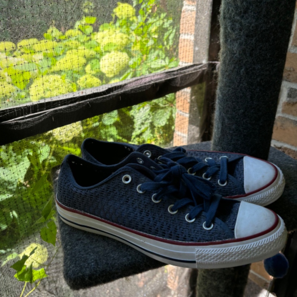 Converse All Star womens us 10